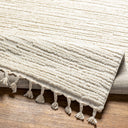 Nora NOA-2305 Cream / Light Gray Rug