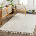 Nora NOA-2305 Cream / Light Gray Rug