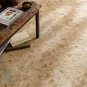 Normandy NOY-8002 Cream / Light Gray Rug