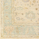 Normandy NOY-8010 Beige / Dark Brown Rug