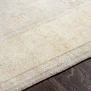 Normandy NOY-8012 Beige / Brown Rug