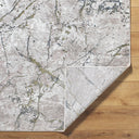 Nesta NST-2305 Charcoal / Ivory Rug