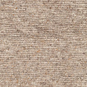 Odessa ODS-2302 Beige / Brown Rug