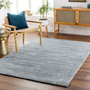 Prague PGU-4003 Ivory / Slate Rug