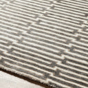 Platinum PLAT-9000 Beige / Brown Rug