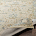 Panipat PNP-2308 Beige / Charcoal Rug