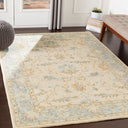 Panipat PNP-2308 Beige / Charcoal Rug