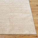 Cascade PNWCS-2304 Light Beige / Light Brown Rug