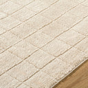 Cascade PNWCS-2304 Light Beige / Light Brown Rug