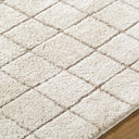 Cascade PNWCS-2305 Ivory / Taupe Rug