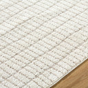Cascade PNWCS-2307 Ivory / Taupe Rug