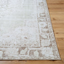 Rainier PNWRN-2300 Cream / Light Brown Rug