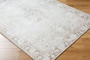 Rainier PNWRN-2300 Cream / Light Brown Rug
