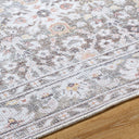 Rainier PNWRN-2301 Brown / Cream Rug