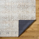Rainier PNWRN-2302 Brown / Light Brown Rug