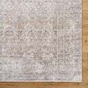 Rainier PNWRN-2303 Brown / Camel Rug