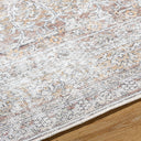 Rainier PNWRN-2303 Brown / Camel Rug