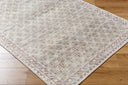 Rainier PNWRN-2305 Cream / Light Brown Rug