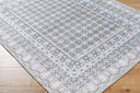 Rainier PNWRN-2311 Off-White / Pale Blue Rug