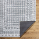 Rainier PNWRN-2311 Off-White / Pale Blue Rug
