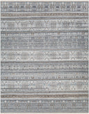 Pompei PPI-2305 Black / Brown Rug