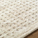 Primo PRO-2313 Cream / Ivory Rug