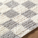 Primo PRO-2316 Cream / Light Gray Rug