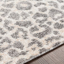 Positano PSN-2305 Charcoal / Gray Rug