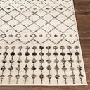 Pisa PSS-2300 Black / Charcoal Rug