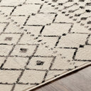 Pisa PSS-2300 Black / Charcoal Rug