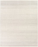 Pisa PSS-2301 Charcoal / Light Slate Rug