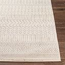Pisa PSS-2301 Charcoal / Light Slate Rug