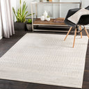Pisa PSS-2301 Charcoal / Light Slate Rug