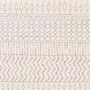 Pisa PSS-2301 Charcoal / Light Slate Rug