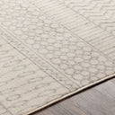 Pisa PSS-2301 Charcoal / Light Slate Rug