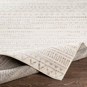 Pisa PSS-2304 Charcoal / Light Slate Rug