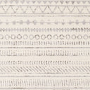 Pisa PSS-2304 Charcoal / Light Slate Rug