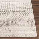 Pisa PSS-2310 Black / Charcoal Rug