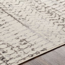Pisa PSS-2310 Black / Charcoal Rug