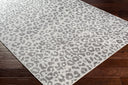 Pisa PSS-2323 Charcoal / Light Gray Rug
