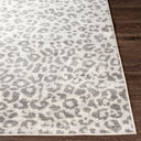 Pisa PSS-2323 Charcoal / Light Gray Rug