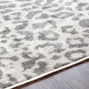 Pisa PSS-2323 Charcoal / Light Gray Rug