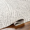 Pisa PSS-2365 Charcoal / Light Gray Rug