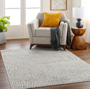 Pisa PSS-2365 Charcoal / Light Gray Rug