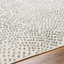 Pisa PSS-2365 Charcoal / Light Gray Rug