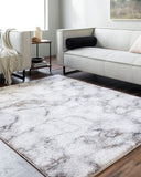 Portofino PTF-2318 Beige / Light Gray Rug