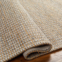 Priya PYA-2300 Beige / Gray Rug