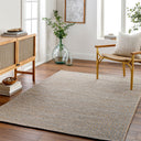 Priya PYA-2300 Beige / Gray Rug