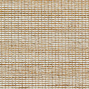 Priya PYA-2303 Off-White / Tan Rug