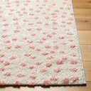 Rodos RDO-2349 Beige / Light Pink Rug